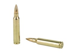 PMC, Bronze, 223REM, 55 Grain, Full Metal Jacket, 20 Round Box