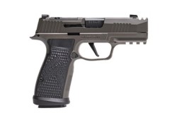 Sig Sauer P365 AXG Legion